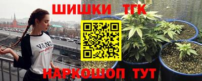 винт Ливны