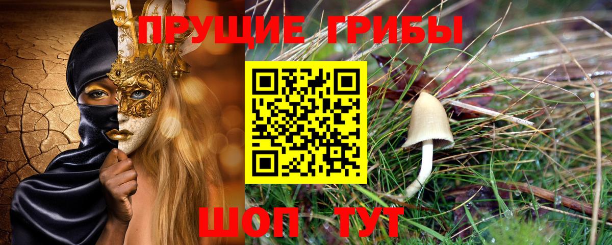 Галлюциногенные грибы Cubensis Югорск