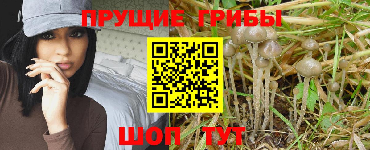 Галлюциногенные грибы прущие грибы  Псилоцибиновые грибы Magic Shrooms  Вход с VPN  Югорск 